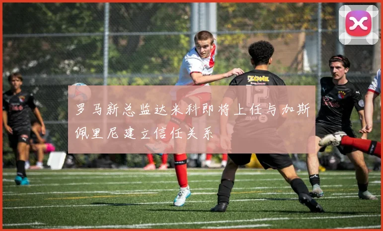 罗马新总监达米科即将上任与加斯佩里尼建立信任关系