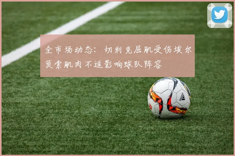 全市场动态：切利克屈肌受伤埃尔莫索肌肉不适影响球队阵容