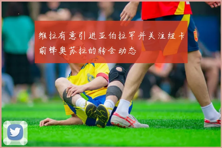 维拉有意引进亚伯拉罕并关注纽卡前锋奥苏拉的转会动态